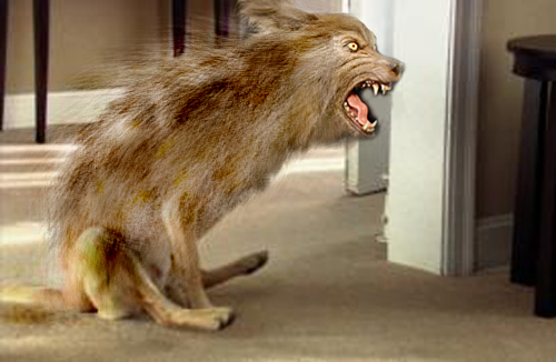 ass-dragging-werewolf.jpg