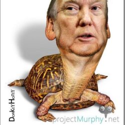 What If Trump Was a Turtle?
