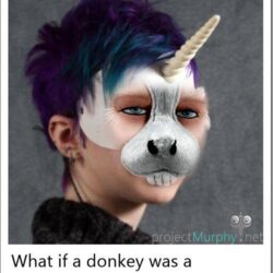 What If a Donkey Was a Unicorn?