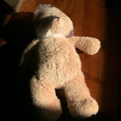 Female Teddy Bear Gets 35 to Life in Plastic Bag Murder
