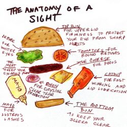 The Anatomy of a Sight: Part Two