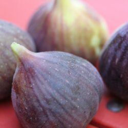 How to Eat a Fresh Fig