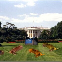 Obama Invites Ass Dragging Werewolves to Christen Whitehouse Lawn